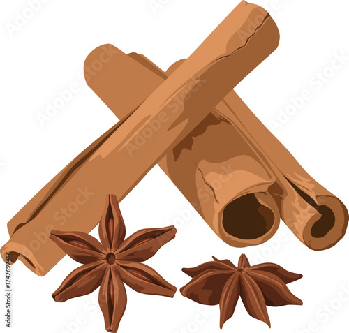 Illustration of cinnamon sticks and star anise, arranged in a visually appealing composition on a white background.