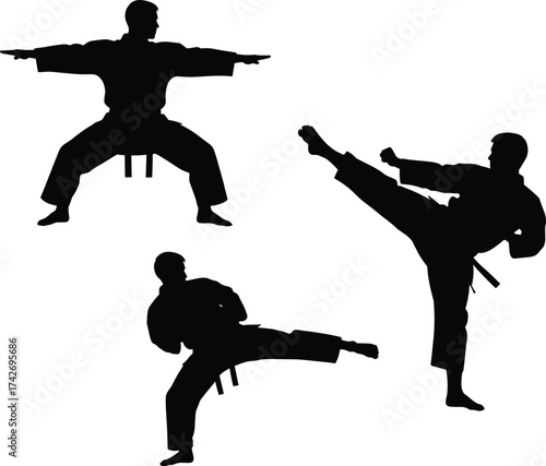 Martial arts silhouette, karate stance, taekwondo kick, black figure action, self defense pose, combat training, isolated on white background