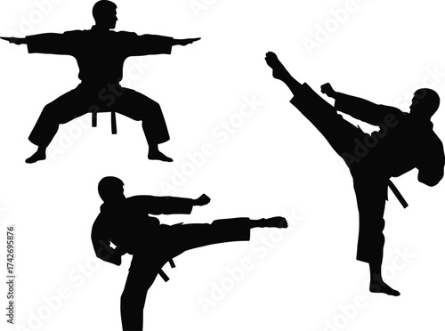 Martial arts silhouette, karate stance, taekwondo kick, black figure isolated, combat pose, sports training, self defense, action movement, discipline, flexibility