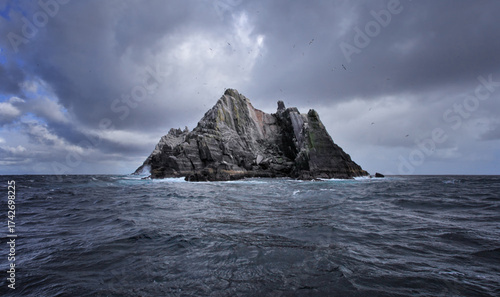 Фотография Atlantic puffin on Skellig Michael County Kerry Ireland