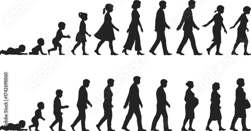 Human life cycle silhouette, aging stages illustration, childhood to elderly, male and female development, growth timeline, educational concept, biology, evolution, people progression, infographic