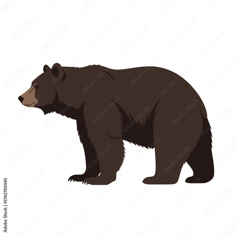 Fototapeta premium A large brown bear is standing sideways in the frame on a white background.