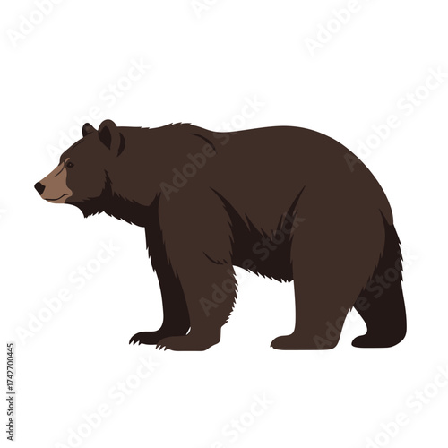 A large brown bear is standing sideways in the frame on a white background.