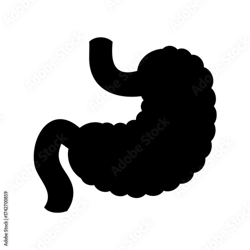 Detailed human stomach anatomy black silhouette illustration on a white background