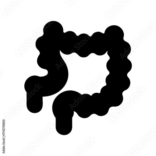 Graphical representation of the human colon, isolated medical anatomical illustration