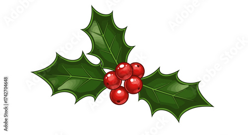 Festive holly design with red berries and green leaves