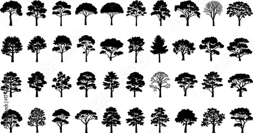 Tree silhouette collection, black vector forest shapes, diverse canopy and trunk designs, botanical illustration set, landscape and nature graphic for design use