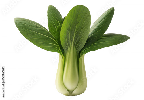 Vibrant green bok choy isolated on a transparent background