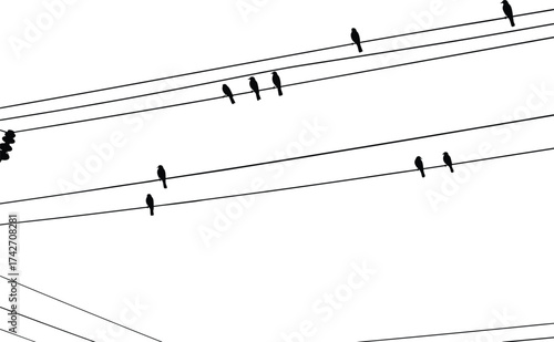 Silhouette birds perched on electrical wires, musical staff effect, urban electricity infrastructure, artistic composition, telecommunications network, industrial system illustration