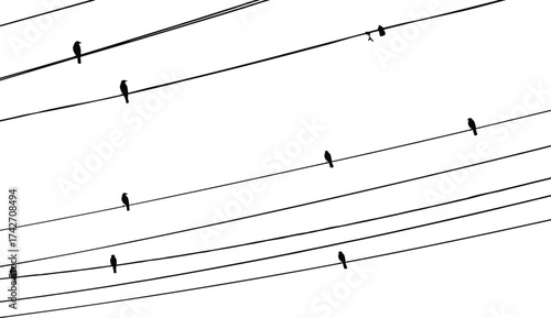 Silhouette birds perched on parallel power lines, musical staff effect, urban electricity infrastructure, artistic composition, telecommunications network, industrial system