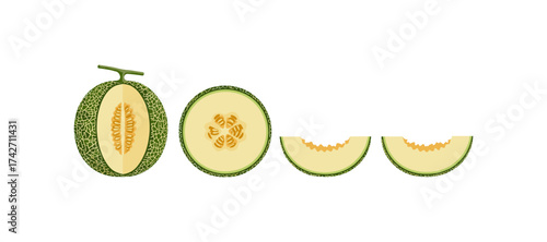 Cantaloupe slice set on white background: whole and halved fruit
