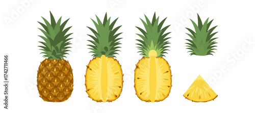 Pineapple whole and sliced graphic set with detailed flat design