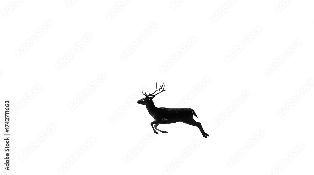 Fototapeta premium Deer silhouette leaping against transparent background artistic rendering