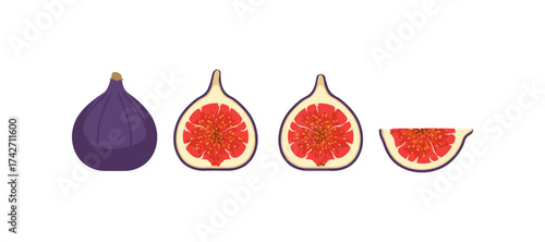 Fresh fig stages: whole, half, quarter slice on white background