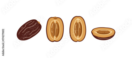 Detailed brown date fruit halves and whole set on white background
