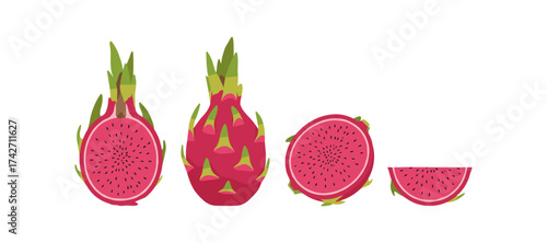 Colorful dragon fruit composition in flat style with whole and sliced views