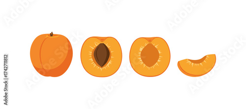 Fresh apricot variations on white background