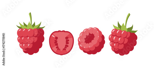 Fresh raspberry collection with whole and cut views in flat design