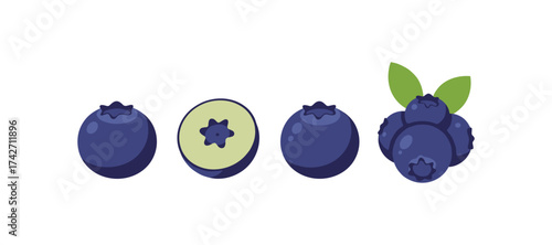 Blueberry set with whole, halved, and leaf varieties in flat design