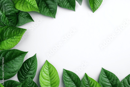 Green leaves frame