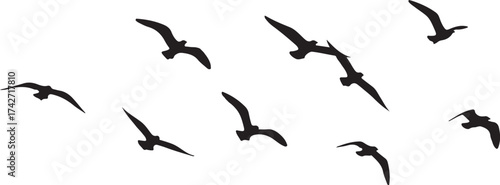Wallpaper Mural Illustration of flock of birds flying in formation in silhouette Torontodigital.ca