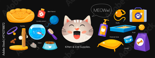 Vector cartoon collection of cat and kitten supplies and accessories isolated on dark background. Set includes food bowl, scratching post, toy mouse, collar, pet bed, grooming brush, etc.