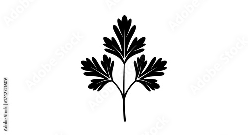 Parsley leaf black white icon simple