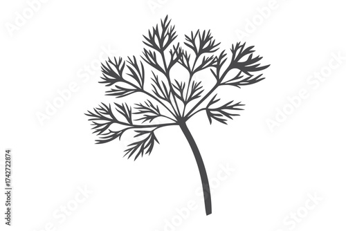 of Dill Herb on White Background, Food Ingredient Icon
