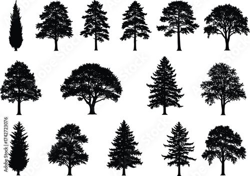 Silhouette tree collection with diverse species, botanical shapes, conifer and deciduous forms, landscape design elements, nature illustration, environmental concept art