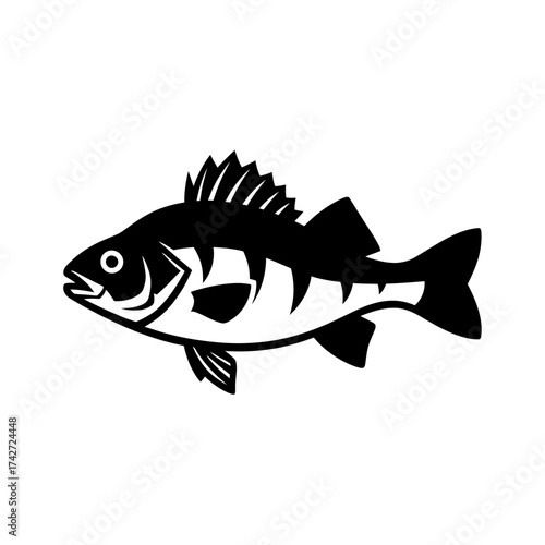 Striking Silhouette of a Perch Fish with Distinctive Spiky Fins.