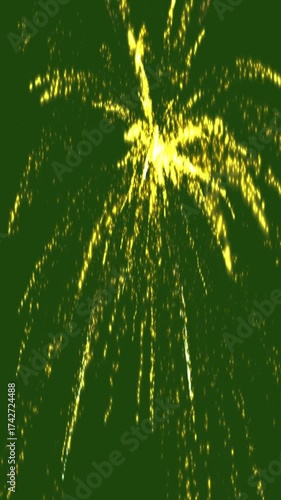 Golden Fireworks Green Screen Celebration Animation 9:16 for Social Media