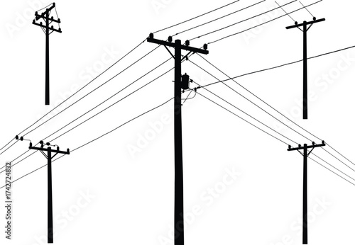 Silhouette utility poles with crossarms, transformers, insulators, multiple power lines, electrical 