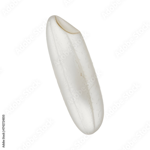 Single grain of white rice macro shot on a white background perfect for food blogs and culinary content