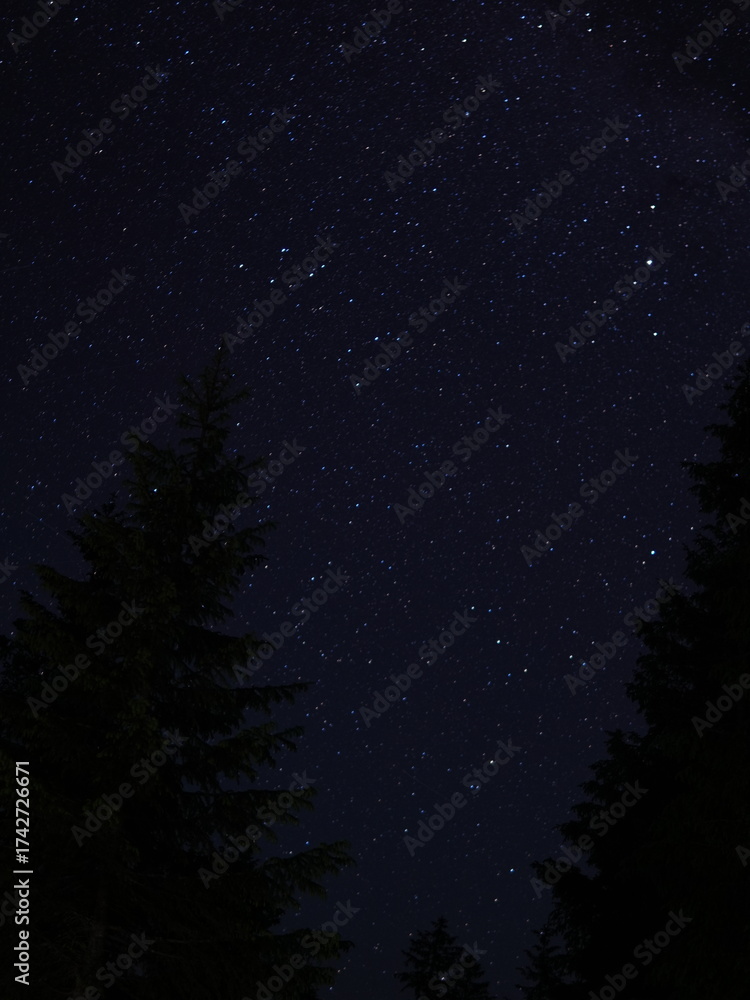 Naklejka premium Peaceful night in the mountains — campfire, tents and starry sky