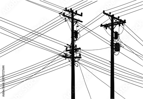 Silhouette utility poles with transformers, crossarms, insulators, crisscrossing power lines, electrical 
