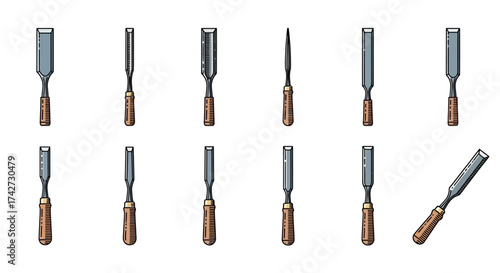 A diverse collection of twelve woodworking chisels on a white background.