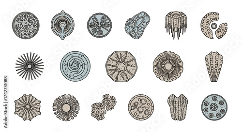 Collection of Diverse Microscopic Organisms and Structures.