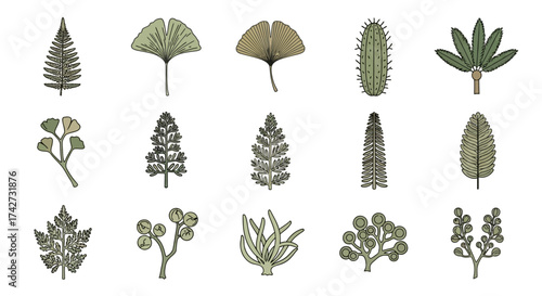 Collection of various hand-drawn plant illustrations, showcasing diverse botanical forms and textures.