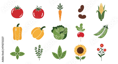 Colorful Flat Design Vector Set of Garden Vegetables and Herbs.