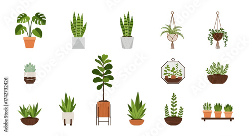 Diverse Collection of Potted Houseplants and Hanging Plants.