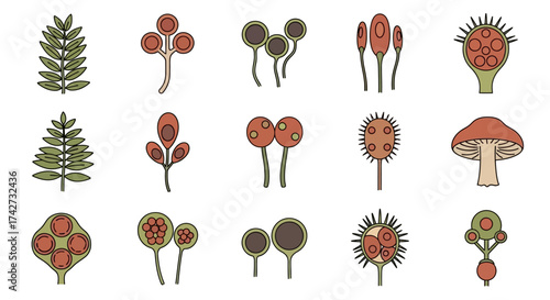 Diverse Collection of Stylized Fungi and Plant-like Organisms.
