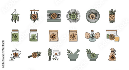 Herbalism and Apothecary Hand Drawn Icon Collection Set.