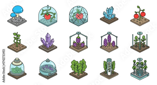 Isometric illustrations of various plants and crystals in glass containers.