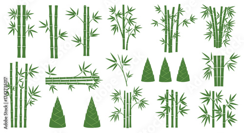 Collection of green bamboo illustrations and stylized tree shapes.