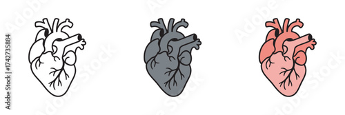 A set of anatomical human heart illustrations in various styles. Includes outline, solid, and colored vector icons for medical and scientific concepts