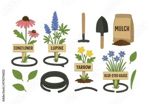 Vector Garden tools and flowers: coneflower, lupine, yarrow, blue-eyed grass with mulch and spade
