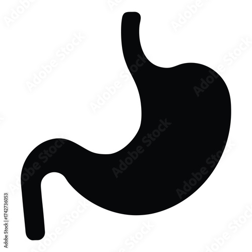 stomach vector icon on white background 