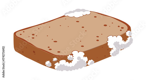 Moldy bread slice shows spoilage and food waste, highlighting decay and health concerns

