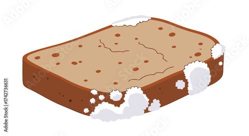 Moldy bread slice shows spoilage and food waste, highlighting decay and health concerns

