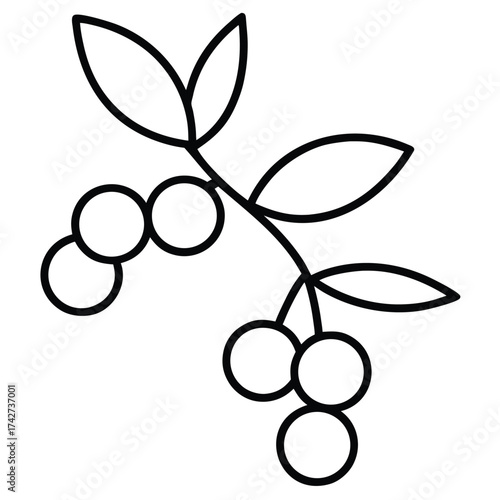 mistletoe berries simple vector icon on black color and white background